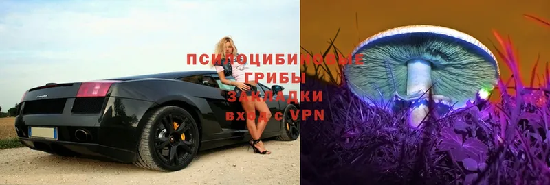 Галлюциногенные грибы MAGIC MUSHROOMS  купить наркотик  Выкса 